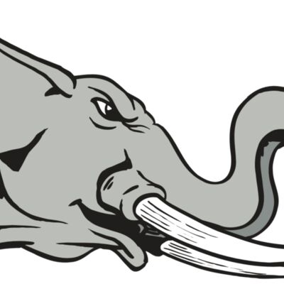 AR ELEPH 16 RC Thumbnail