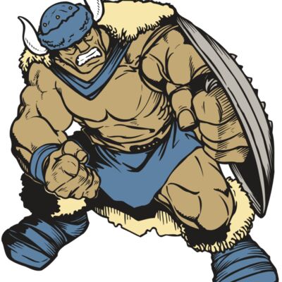 AR VIKING 36 RC Thumbnail