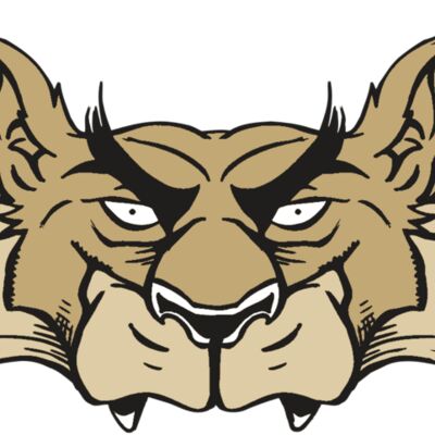 AR5 Wolf 28 RQC Thumbnail