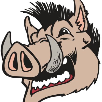 AR RAZORBACK 18 RC Thumbnail