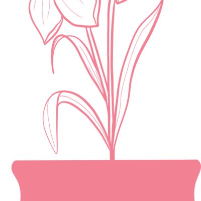 Flowers 4 Thumbnail